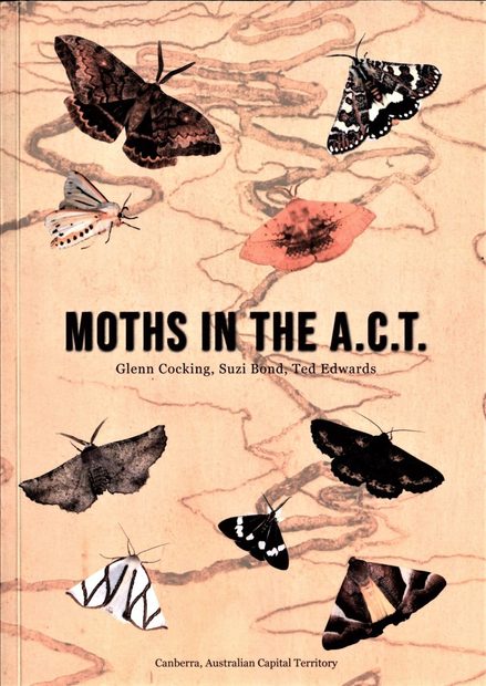 Moths in the A.C.T.