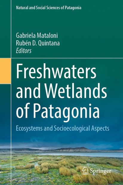 Freshwaters and Wetlands of Patagonia