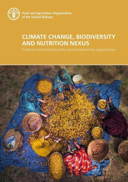 Climate Change, Biodiversity and Nutrition Nexus: Evidence and Emerging ...