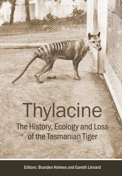 Thylacine