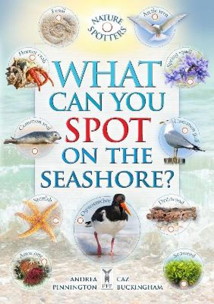 What Can You Spot on the Seashore?