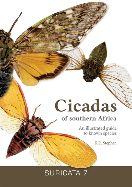 Cicadas of Southern Africa