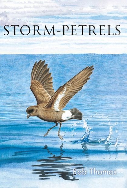 The Storm-petrels