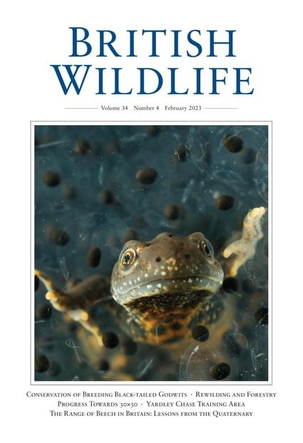 British Wildlife 34.4 February 2023