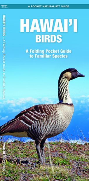 Hawai'i Birds