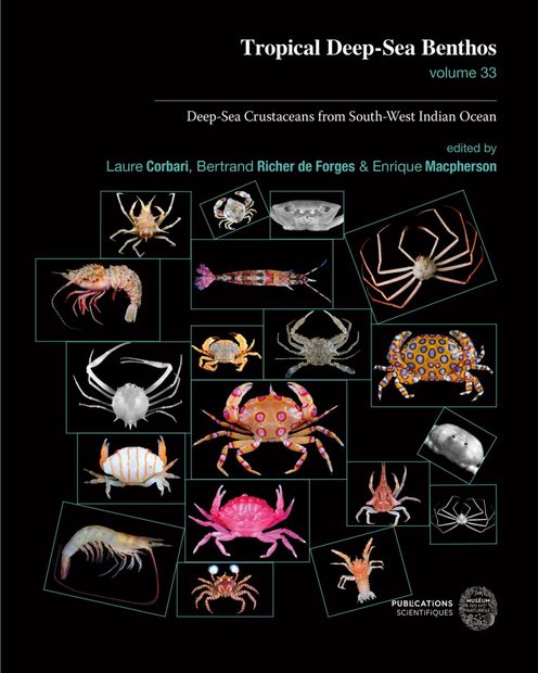 Tropical Deep-Sea Benthos, Volume 33