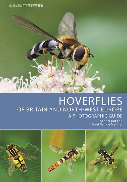 Hoverflies of Britain and North-West Europe
