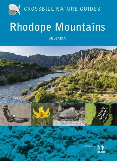Crossbill Guide: Rhodope Mountains, Bulgaria