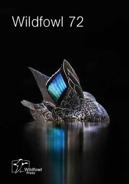 Wildfowl, Issue 72