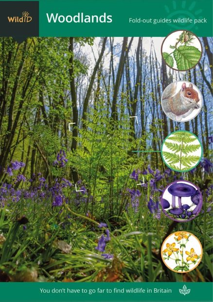 FSC Woodlands Wildlife Pack