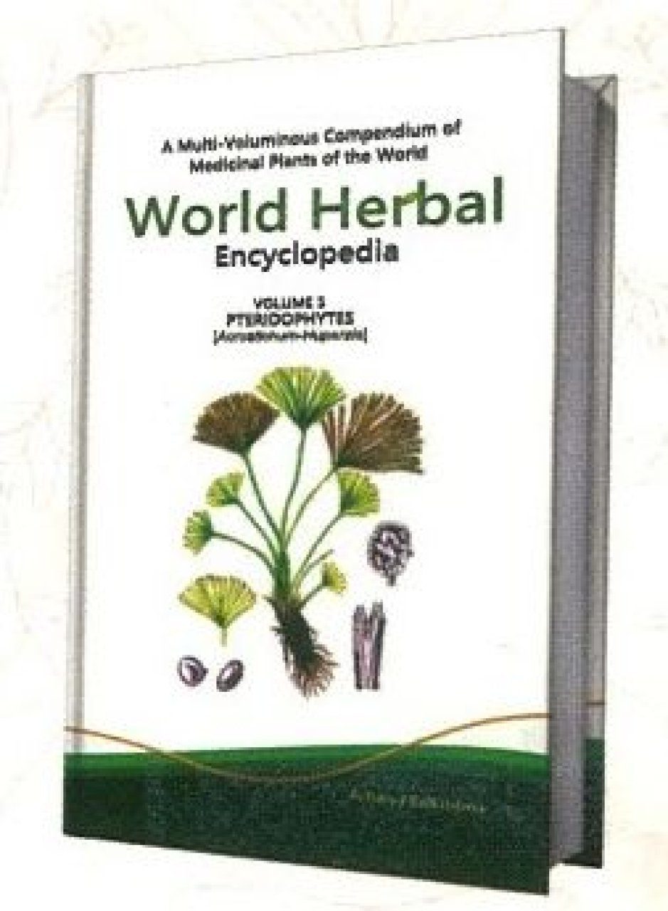 World Herbal Encyclopedia, Volume 5 Pteridophytes (Acrostrichum