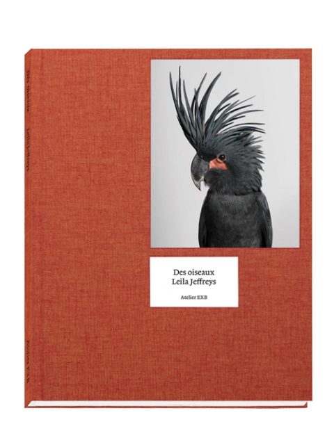 Des Oiseaux [On Birds]