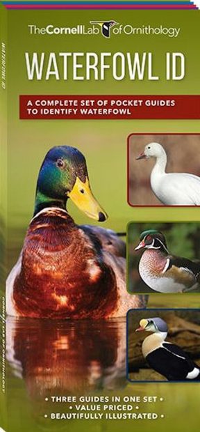 Cornell Lab of Ornithology Waterfowl ID