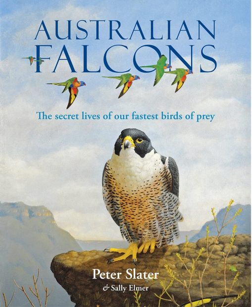 Australian Falcons