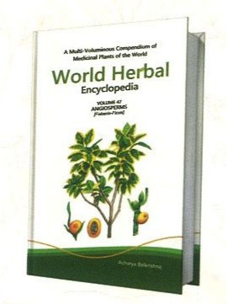 World Herbal Encyclopedia, Volume 47 Angiosperms (FaberiaFicus