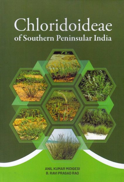 Chloridoideae of Southern Peninsular India