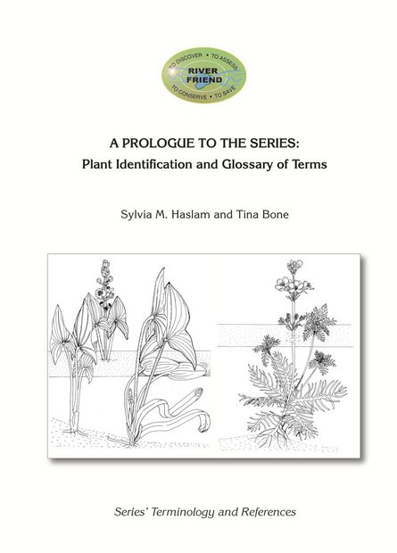 A Prologue to the Series