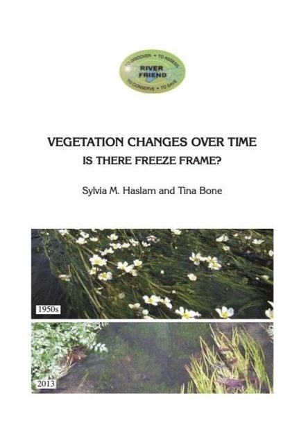 Vegetation Changes Over Time