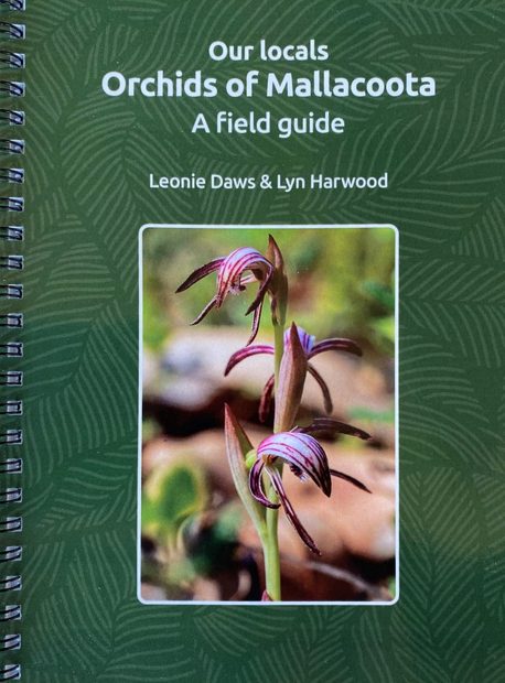 Our Locals: Orchids of Mallacoota