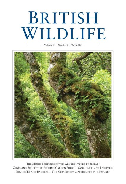 British Wildlife 34.6 May 2023