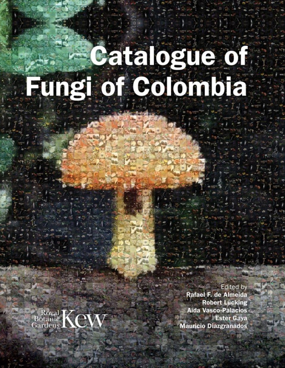 Catalogue of Fungi of Colombia | NHBS Academic & Professional Books