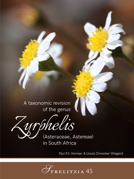 A Taxonomic Revision of the Genus Zyrphelis (Asteraceae, Astereae) in South Africa