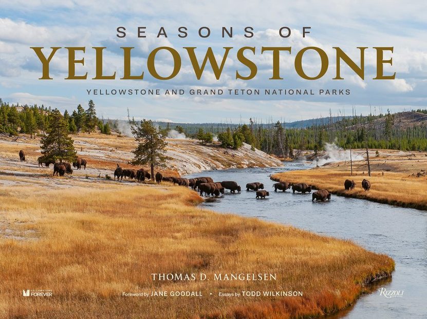 Seasons of Yellowstone Yellowstone and Grand Teton National Parks
