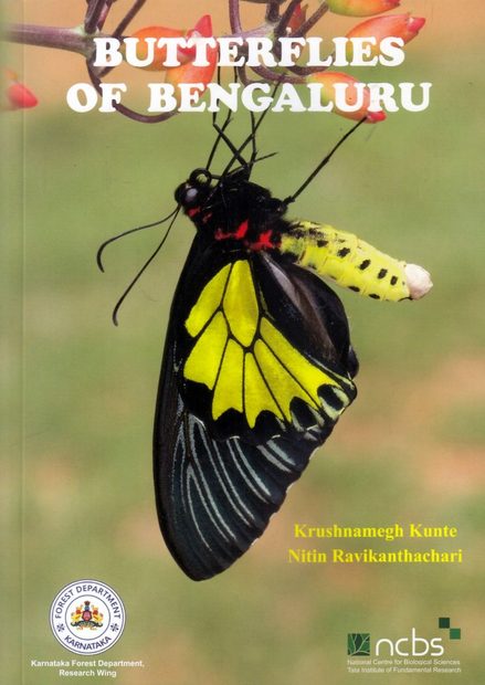 Butterflies of Bengaluru