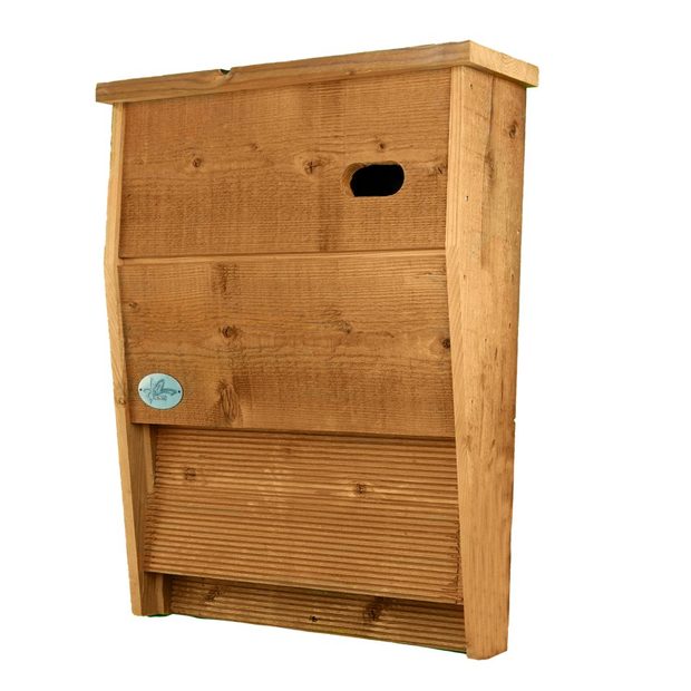 Kiki Bat and Swift Hybrid Box