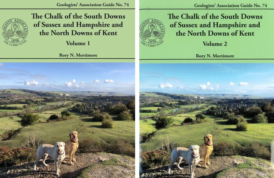 The Chalk of the South Downs of Sussex and Hampshire and the North Downs of Kent (2-Volume Set)