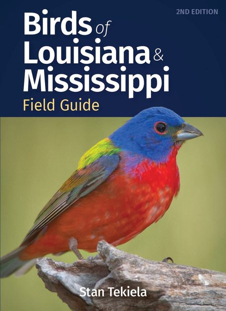 Birds of Louisiana & Mississippi
