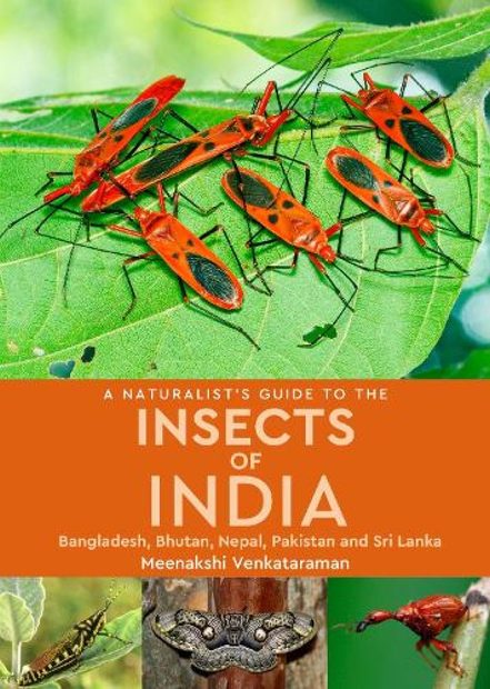 A Naturalist's Guide to the Insects of India