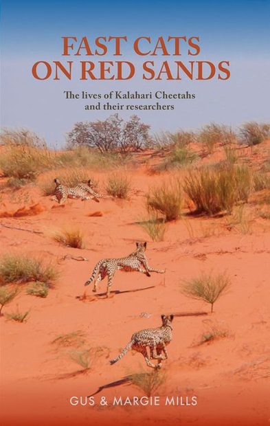 Fast Cats on Red Sands
