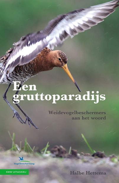 Een Gruttoparadijs: Weidevogelbeschermers aan het Woord [A Paradise for Godwits: Meadow Bird Protectors Speak]