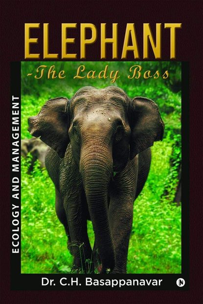 Elephant: The Lady Boss