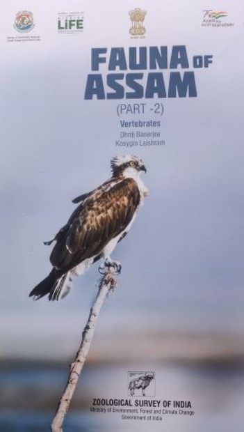 Fauna of Assam, Part 2