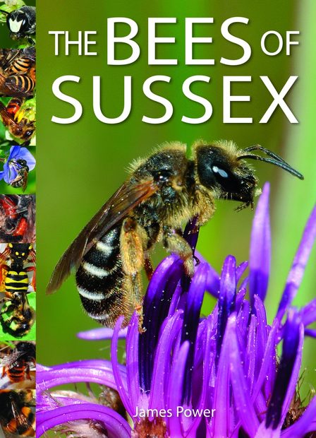 The Bees of Sussex