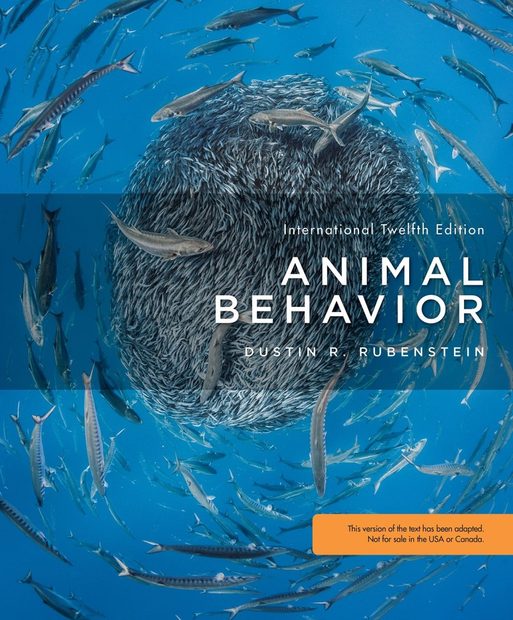 Animal Behavior (International Edition)