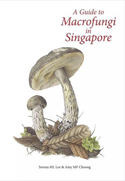 A Guide to Macrofungi in Singapore