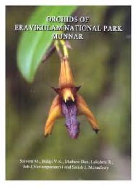 Orchids of Eravikulam National Park, Munnar