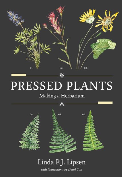 Pressed Plants