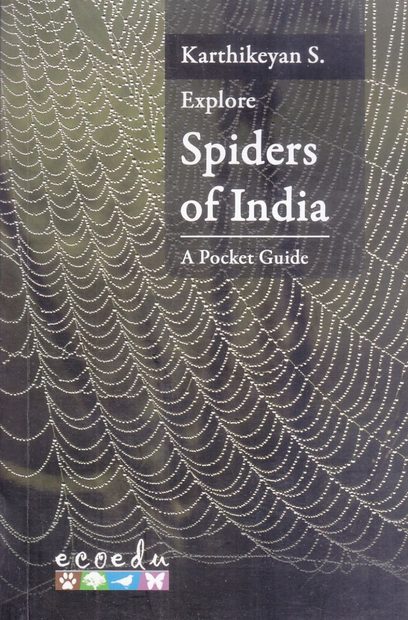 Explore Spiders of India