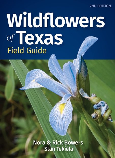 Wildflowers of Texas