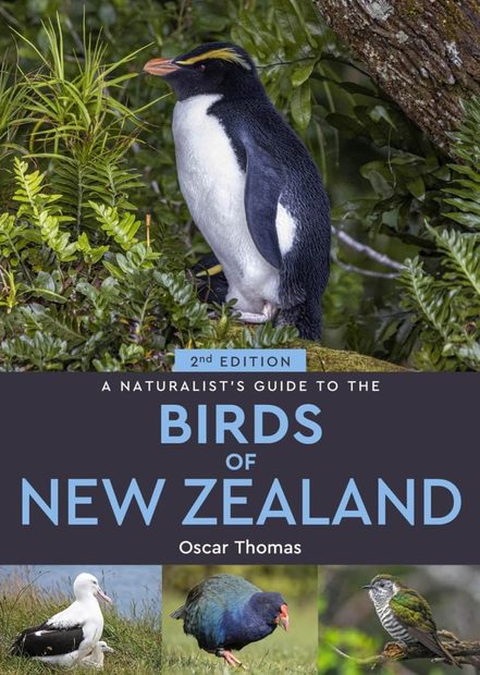 A Naturalist's Guide to the Birds of Aotearoa New Zealand