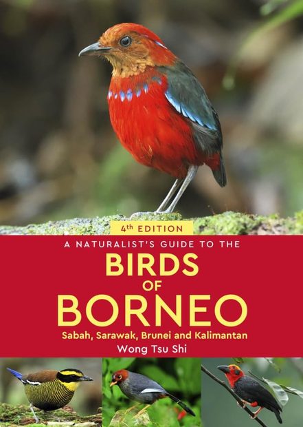 A Naturalist's Guide to the Birds of Borneo