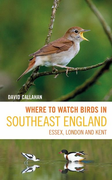 Where to Watch Birds in Southeast England