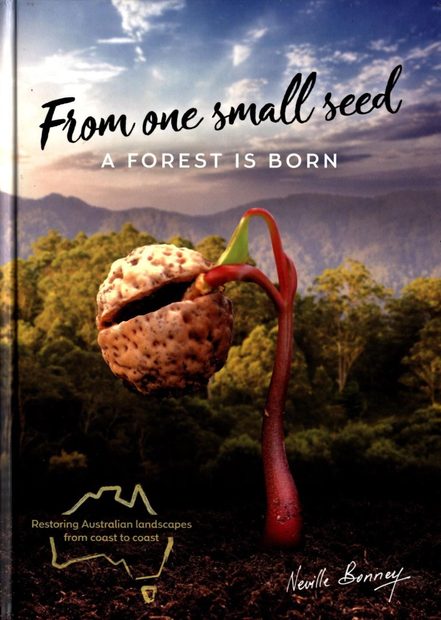From One Small Seed a Forest is Born