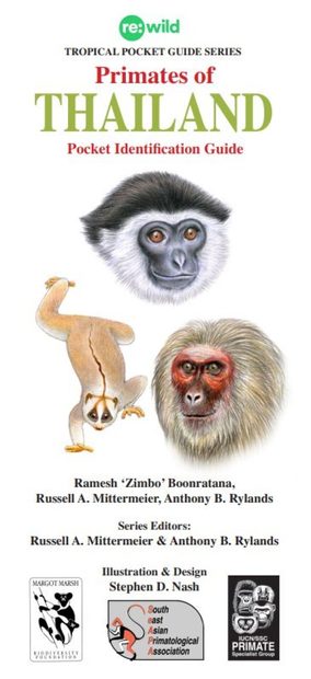 Primates of Thailand