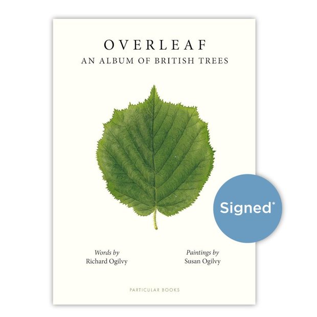 Overleaf