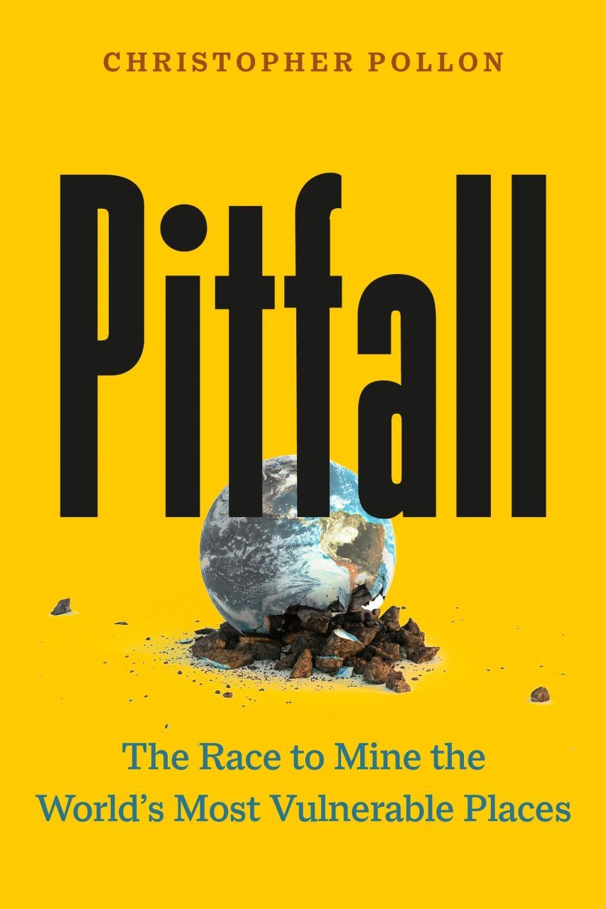 Pitfall | NHBS Academic & Professional Books